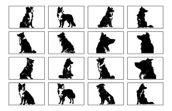 Download Border Collie Dog Silhouette Vector Set - Dog Collection