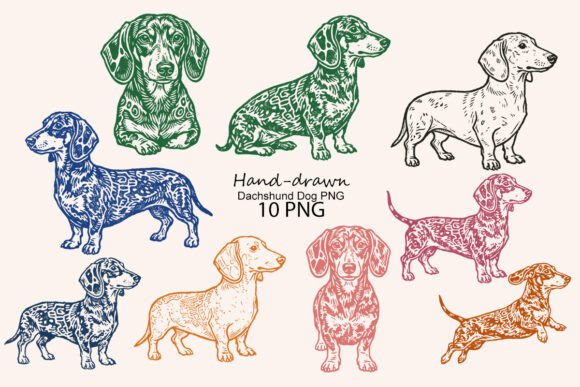 Download Hand-drawn Dachshund Dog PNG - Dog Collection