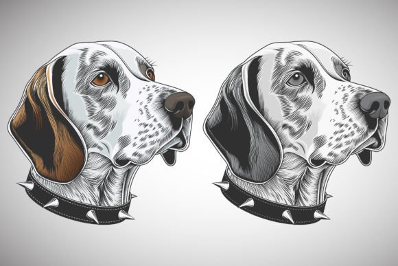 Download Abstract Bloodhound Dog Portrait - Dog Collection