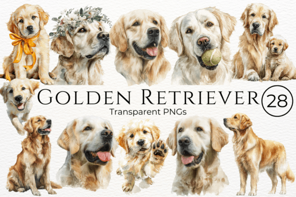 Download Golden Retriever Dog Watercolor Clipart - Premium Resources
